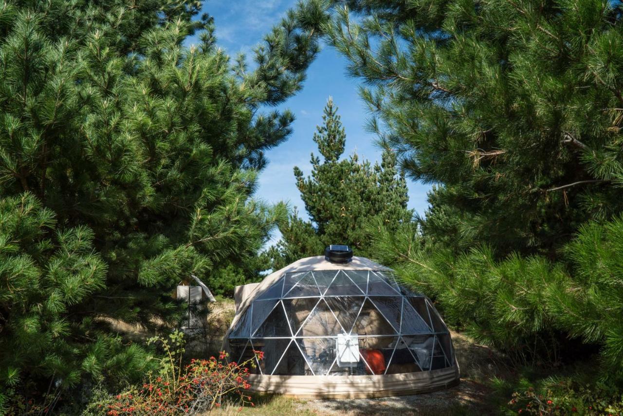 Mt Gold Glamping Hotell Wanaka Exteriör bild